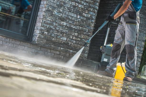 Best Driveway Cleaning and Restoration in Williamstown, PA