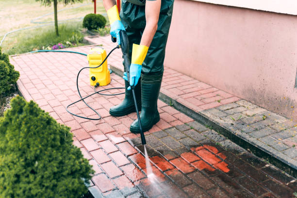 Best Soft Washing for Delicate Surfaces in Williamstown, PA