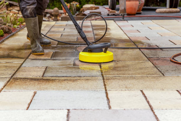 Best Vinyl Siding Pressure Washing in Williamstown, PA